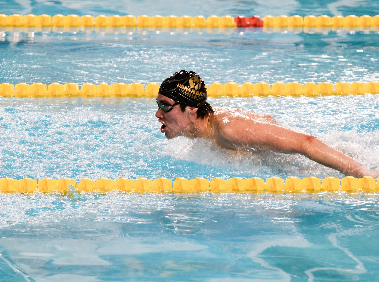Disciplina Natación